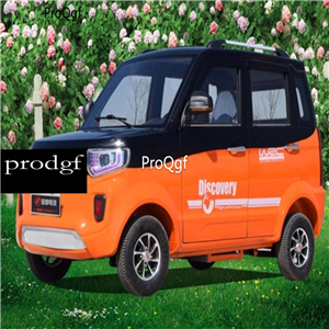 3999usd Ngryise 1 set adult convenient classic Electric car environmental