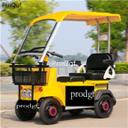 1699usd Ngryise 1 set adult convenient classic Electric car white or yellow