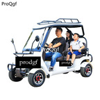 3999usd Ngryise 1 set adult convenient classic Electric car scenery use
