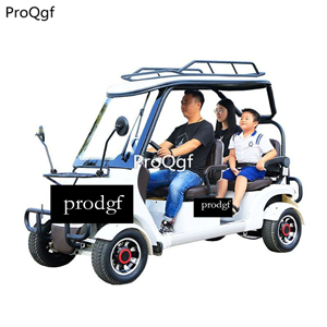 3999usd Ngryise 1 set adult convenient classic Electric car scenery use