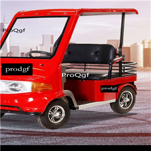 2999usd Ngryise 1 set adult convenient classic Electric car blue or red