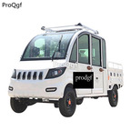 3999usd Ngryise 1 set adult convenient classic Electric car two choice