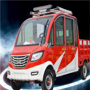 3999usd Ngryise 1 set adult convenient classic Electric car two choice