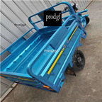 1699usd Ngryise 1 set adult convenient classic Electric car three wheel