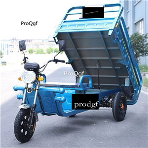 1699usd Ngryise 1 set adult convenient classic Electric car three wheel