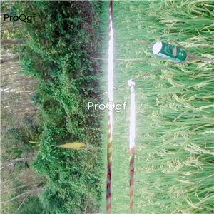 12usd Ngryise 2Pcs A Set evening Shine width 2.5cm length 50meter belt farm use scare bird