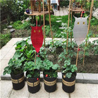 12usd Ngryise 1Pcs A Set evening Shine owl shape farm use product random color