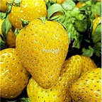 19usd Ngryise  9000Pcs A Set  Yellow Strawberry seed