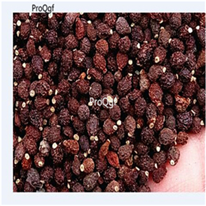 19usd Ngryise  3000Pcs A Set Monkey Orchid  seed