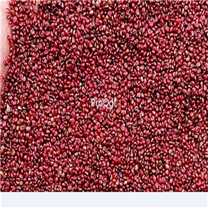19usd Ngryise  9000Pcs A Set Rare German Strawberry seed