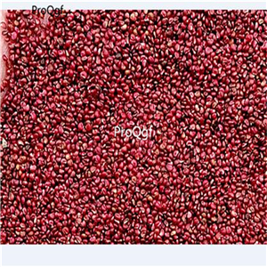 19usd Ngryise  9000Pcs A Set Giant Strawberry seed
