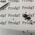 19usd Ngryise 1000Pcs A Set Carnivorous Fly Flower seed