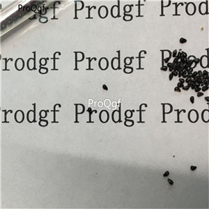 19usd Ngryise 100Pcs A Set Fly Trap  seed