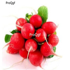 19usd Ngryise 6000Pcs A Set Red Hazelnut Radish seed