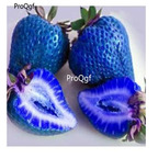 19usd Ngryise 9000Pcs A Set Blue Strawberry seed