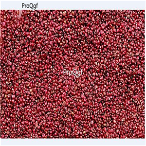 19usd Ngryise 9000Pcs A Set Blue Strawberry seed