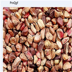19usd Ngryise  3000Pcs A Set Fragrant Red Rose  seed