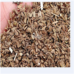 19usd Ngryise  9000Pcs A Set Yellow Carrot  seed