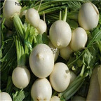 19usd Ngryise 8000Pcs A Set Rare White Radish seed