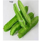 19usd Ngryise 200Pcs A Set Winged Beans seed