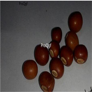 19usd Ngryise 200Pcs A Set Winged Beans seed