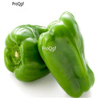 19usd Ngryise 6000Pcs A Set Sweet Bell Pepper  seed