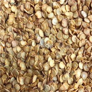 19usd Ngryise 6000Pcs A Set Sweet Bell Pepper  seed