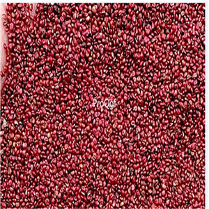 19usd Ngryise 9000Pcs A Set Black Strawberry seed