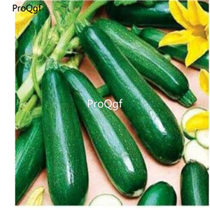 19usd Ngryise 500Pcs A Set Green Pumpkin  seed