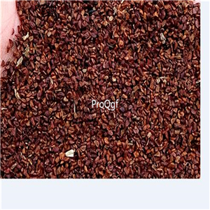 19usd Ngryise 6000Pcs A Set rainbow chrysanthemum seed