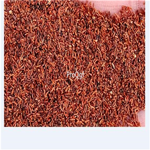19USD Ngryise 5000Pcs A Set Blue Eucalyptus  SEED