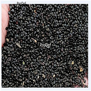 19usd Ngryise 9000Pcs a set forget me not seed