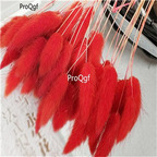 19usd Ngryise 8000Pcs a set Rabbit Tail Grass  seed