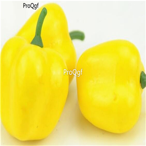 19usd Ngryise 6000Pcs a set  Chili cherry shape pepper bell shape pepper seed