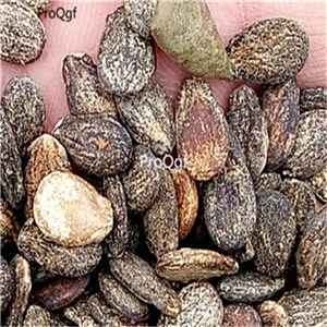 19usd Ngryise 2000Pcs a set  Watermelon seed