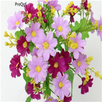 19usd Ngryise 6000Pcs a set mixed cosmos cosmos seed