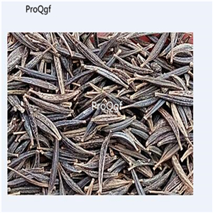 19usd Ngryise 6000Pcs a set mixed cosmos cosmos seed