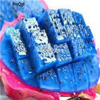 19usd Ngryise 2000Pcs A Set  dragon fruit seed