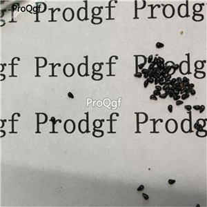 19usd Ngryise 2000Pcs A Set  dragon fruit seed