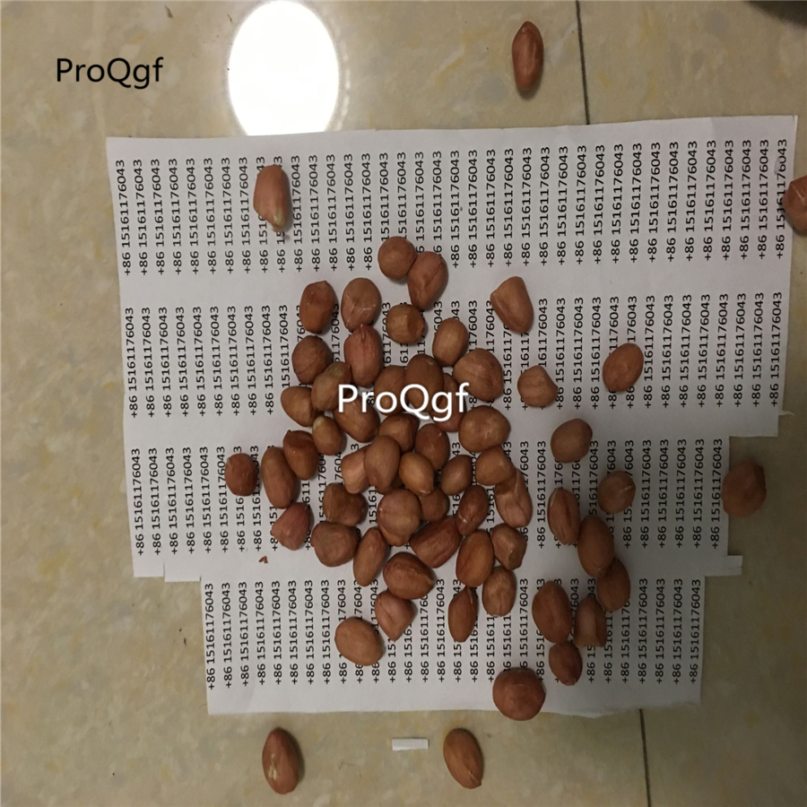 26usd Prodgf 50Pcs A Set Arachis duranensis  seed