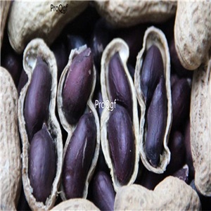 19usd Ngryise 100Pcs A Set purple peanut seed