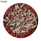 29usd Ngryise 100Pcs A Set many species peanut seed