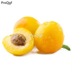 19usd Ngryise 50Pcs A Set Armeniaca vulgaris  seed