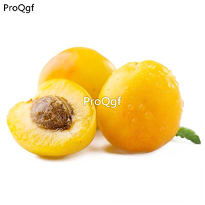 19usd Ngryise 50Pcs A Set Armeniaca vulgaris  seed