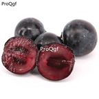 19usd Ngryise 30Pcs A Set Prunus mume seed