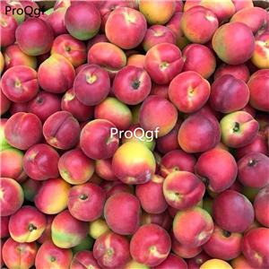 19usd Ngryise 30Pcs A Set red Armeniaca vulgaris seed