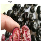 29usd Ngryise 30Pcs A Set Campanumoea lancifolia seed