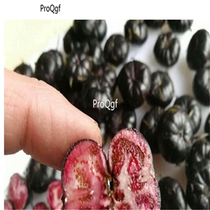 29usd Ngryise 30Pcs A Set Campanumoea lancifolia seed