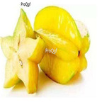 19usd Ngryise 200Pcs A Set Averrhoa carambola  seed
