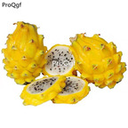 19usd Ngryise 1000Pcs A Set   Hylocereus megalanthus  seed